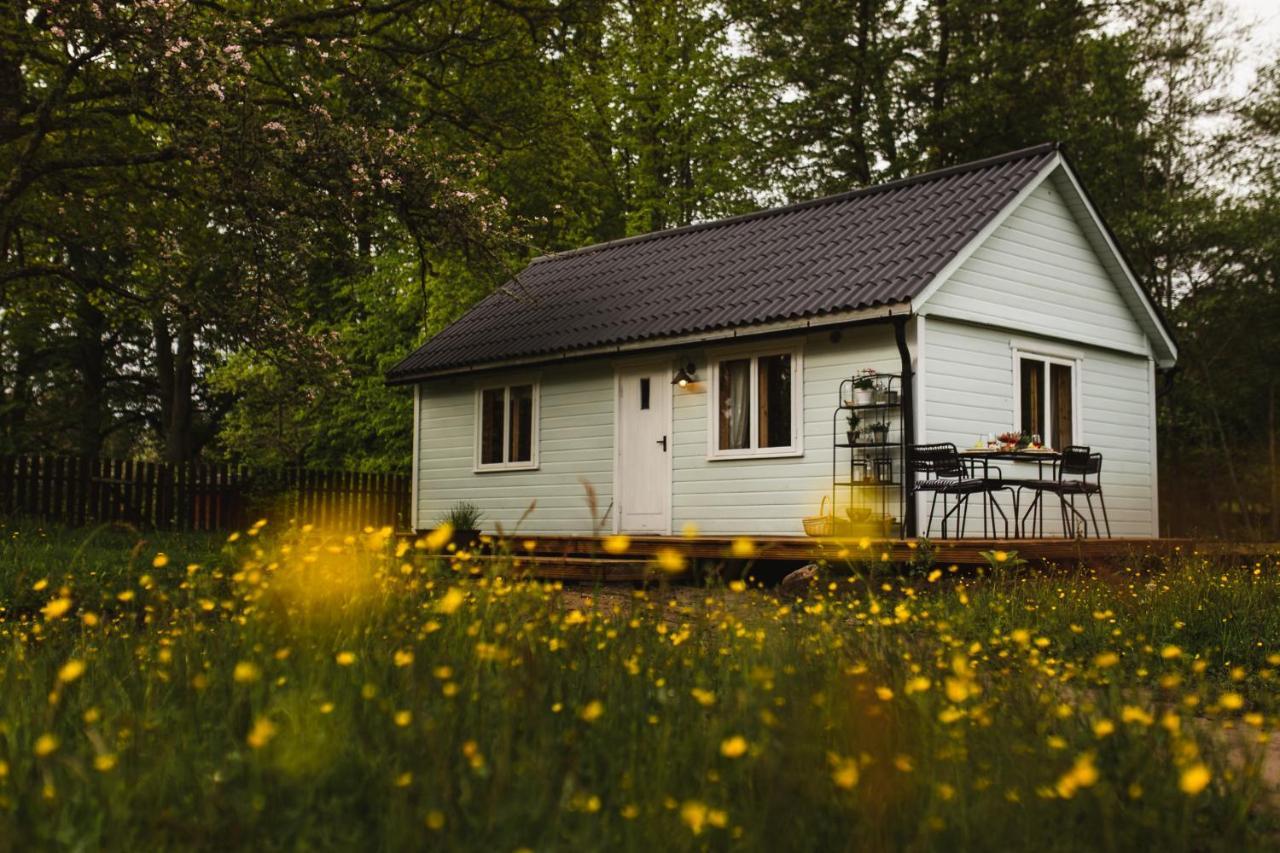 Juras Maja Ausekli Hotel Kaltene Luaran gambar