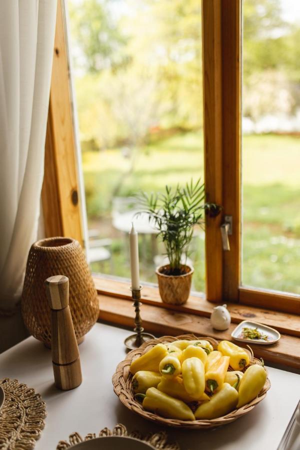 Juras Maja Ausekli Hotel Kaltene Luaran gambar